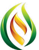 ecommercediwane.sn favicon